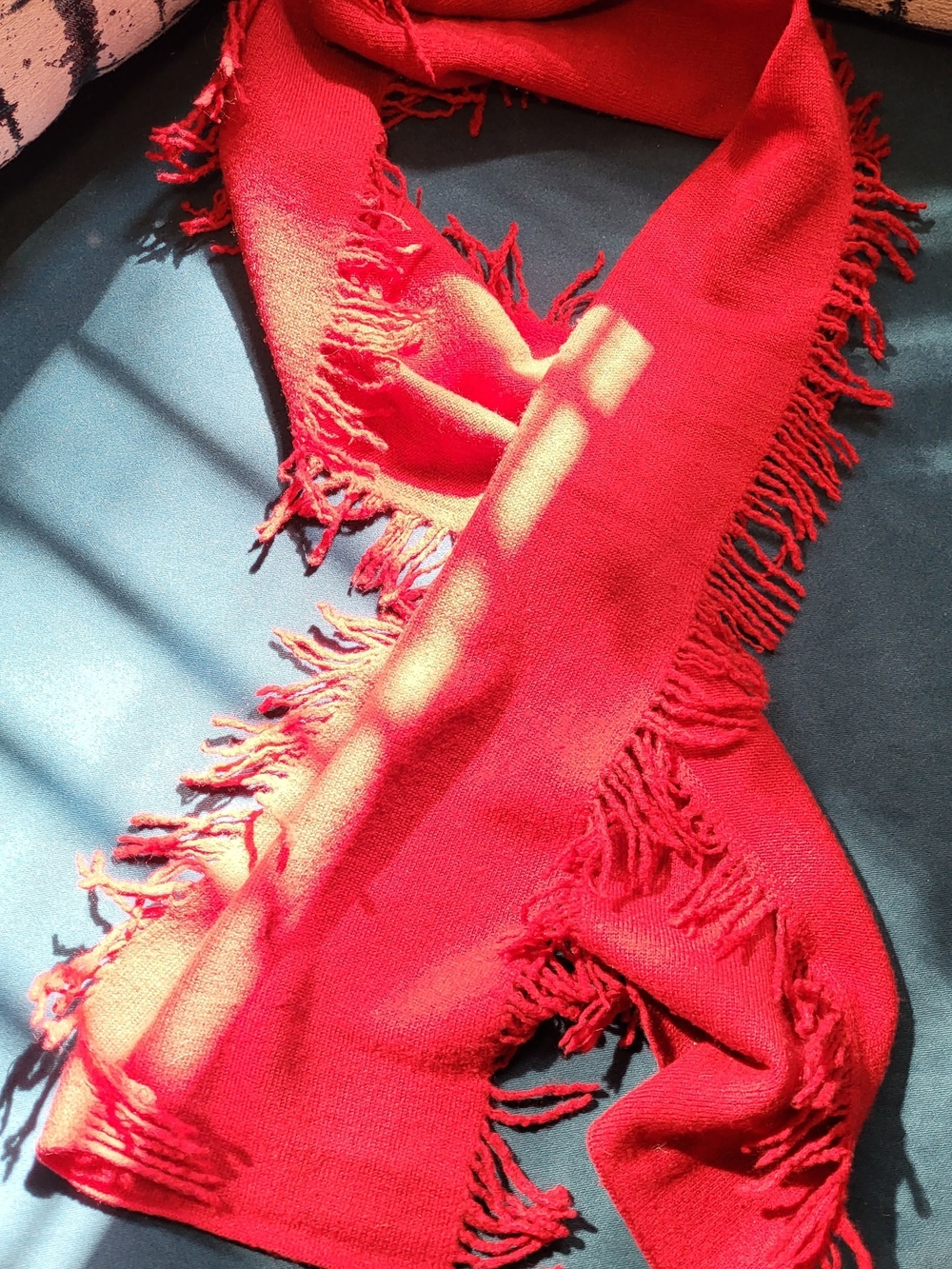 Banana Republic 100% Merino Wool Fringed Scarf